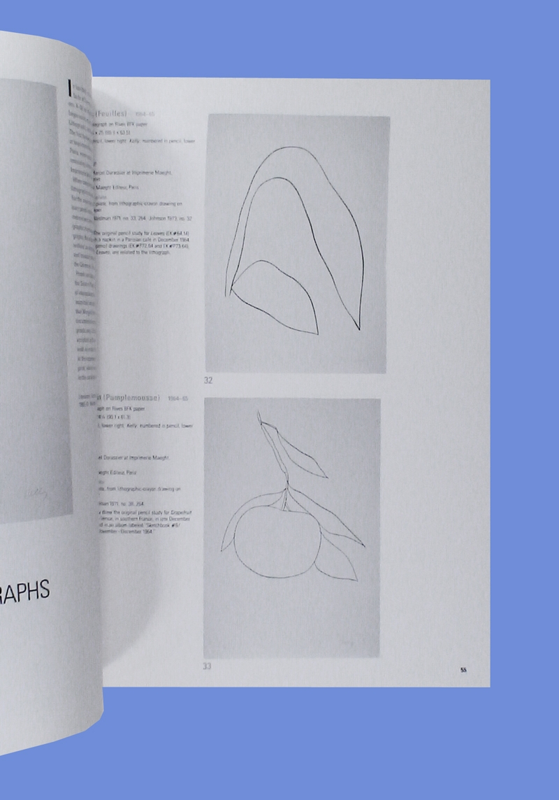 The Prints of Ellsworth Kelly A Catalogue Raisonné 1949