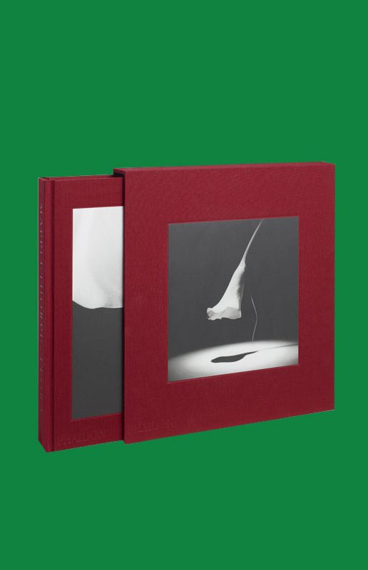 Robert Mapplethorpe Flora The Complete Flowers Copyright Bookshop