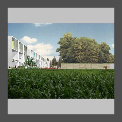 Dogma: 11 Projects – COPYRIGHT Bookshop