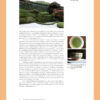 Mirei Shigemori: Rebel in the Garden – Modern Japanese Landscape