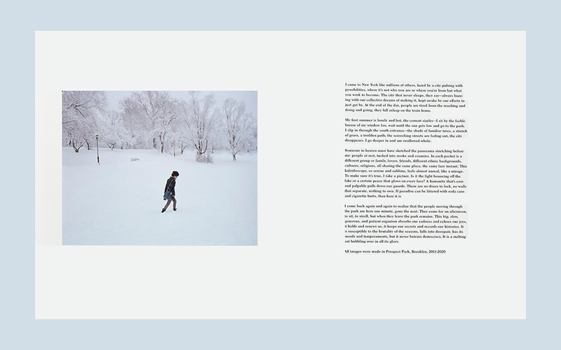 Irina Rozovsky: In Plain Air - Image 2