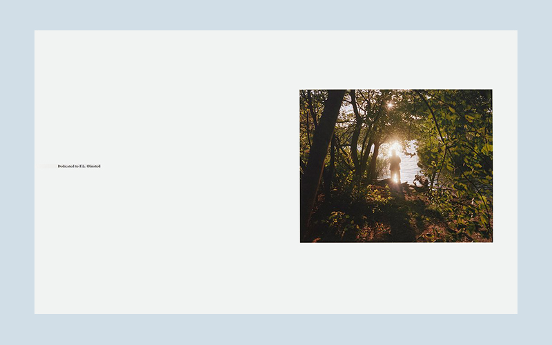 Irina Rozovsky: In Plain Air - Image 5