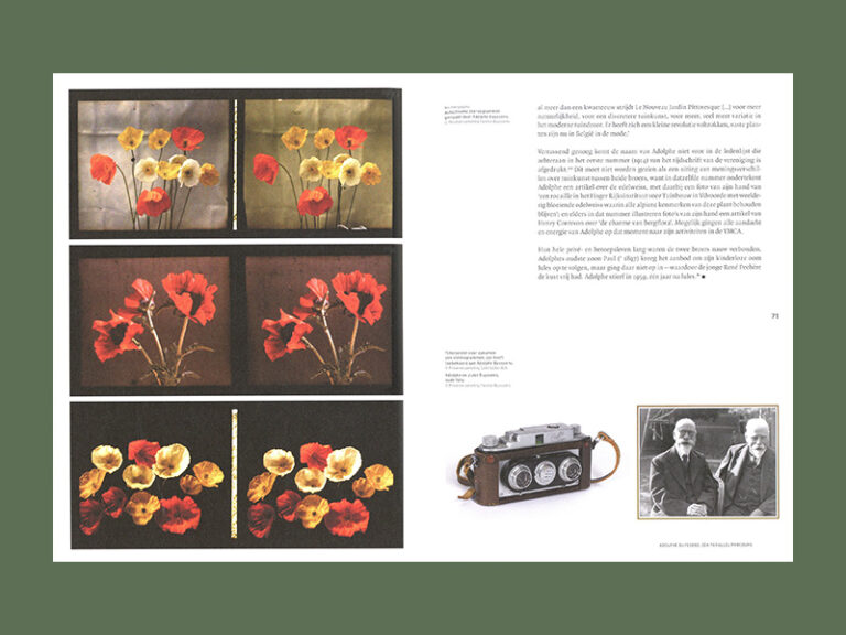 Jules Buyssens en de Nouveau Jardin Pittoresque COPYRIGHT