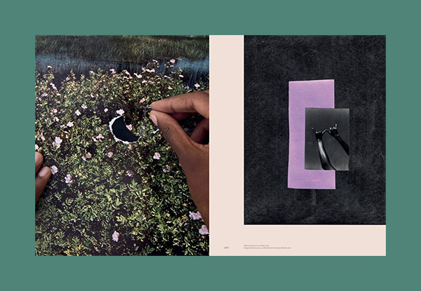 Black Earth Rising: Colonialism and Climate Change in Contemporary Art - Afbeelding 7