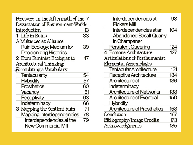 Living Together: More-than-Human Ecologies for Architectural Thinking - Afbeelding 2