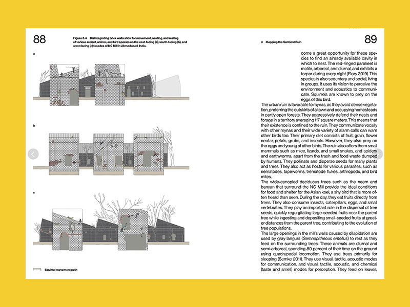 Living Together: More-than-Human Ecologies for Architectural Thinking - Afbeelding 5