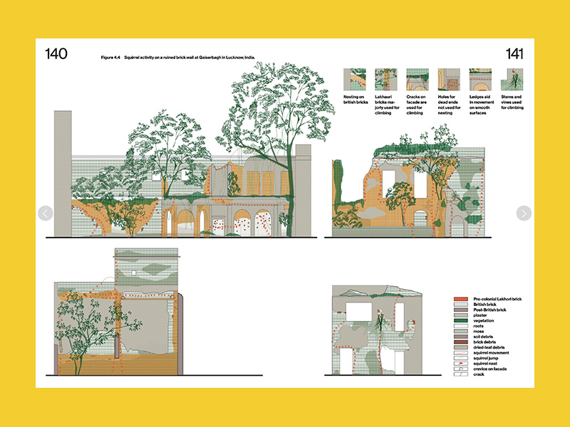 Living Together: More-than-Human Ecologies for Architectural Thinking - Afbeelding 6