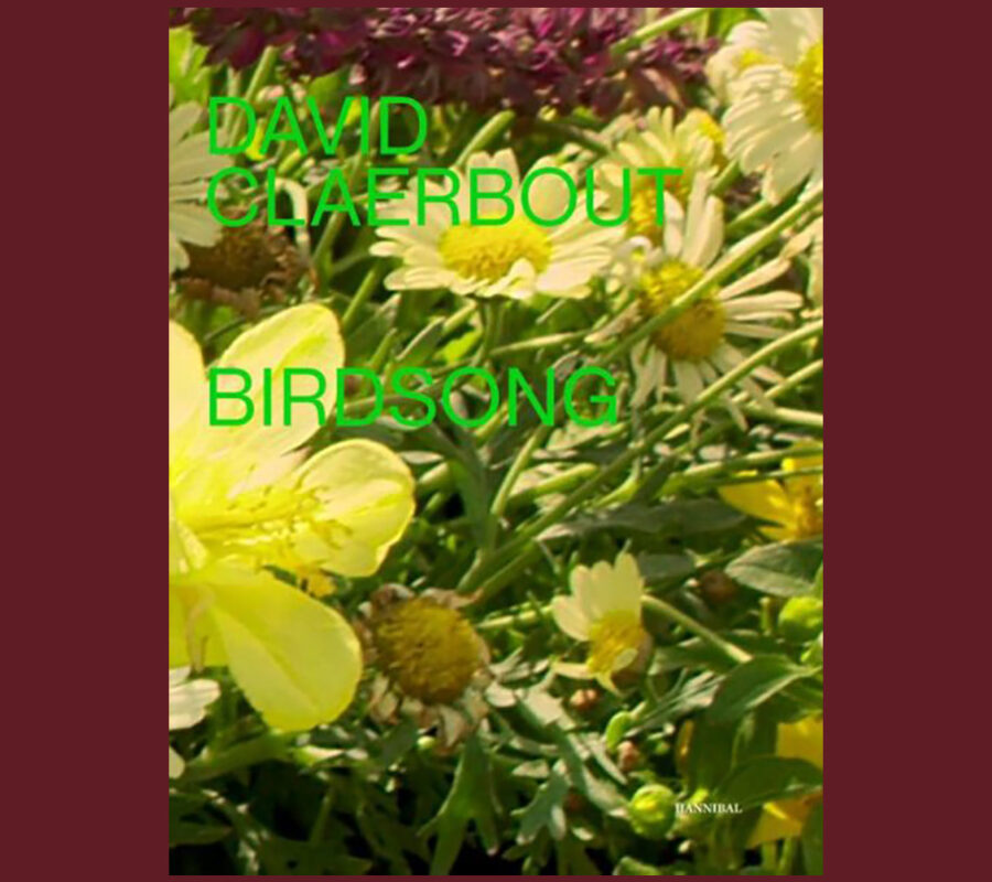 David Claerbout & Stefan Hertmans: Birdsong