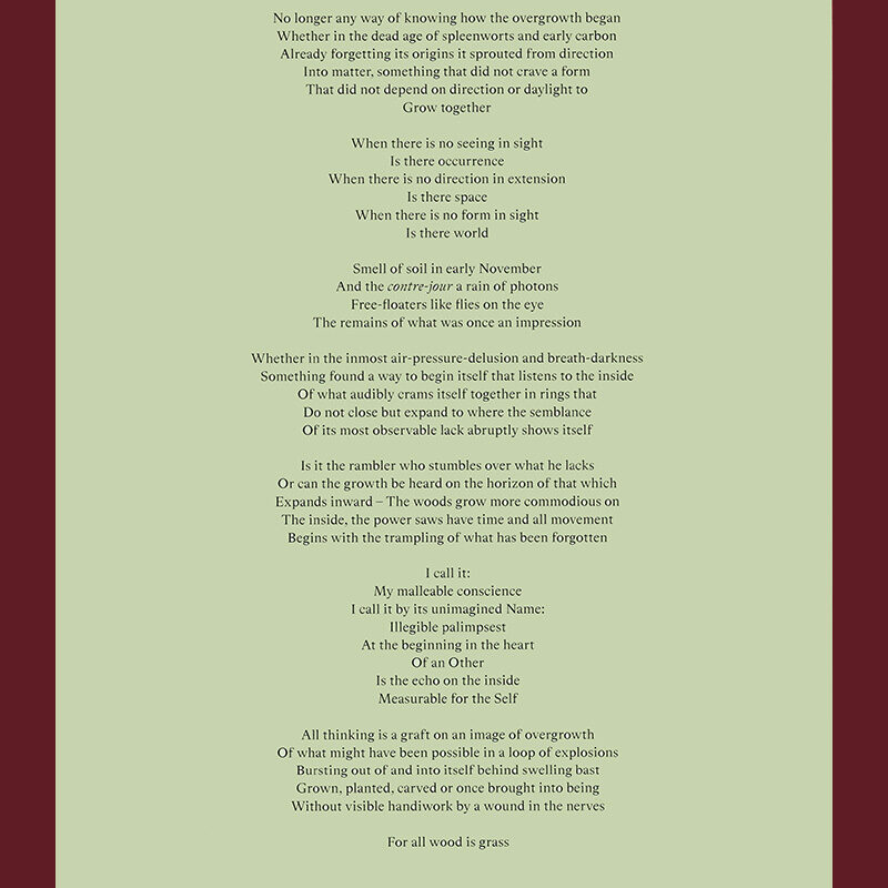 David Claerbout & Stefan Hertmans: Birdsong - Image 5