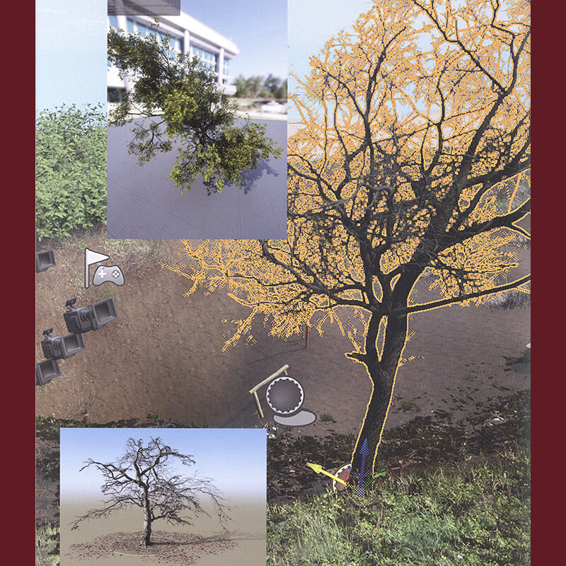 David Claerbout & Stefan Hertmans: Birdsong - Image 6