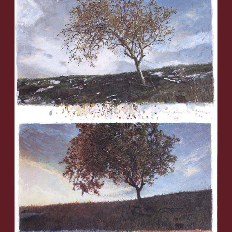 David Claerbout & Stefan Hertmans: Birdsong - Image 3