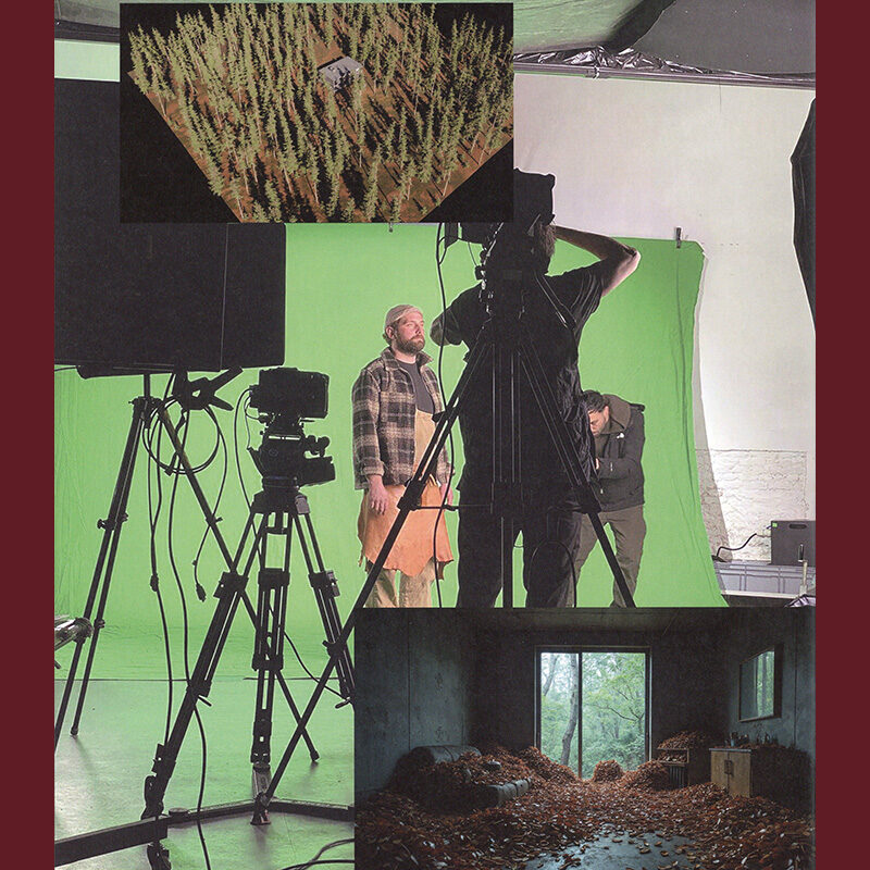 David Claerbout & Stefan Hertmans: Birdsong - Image 2