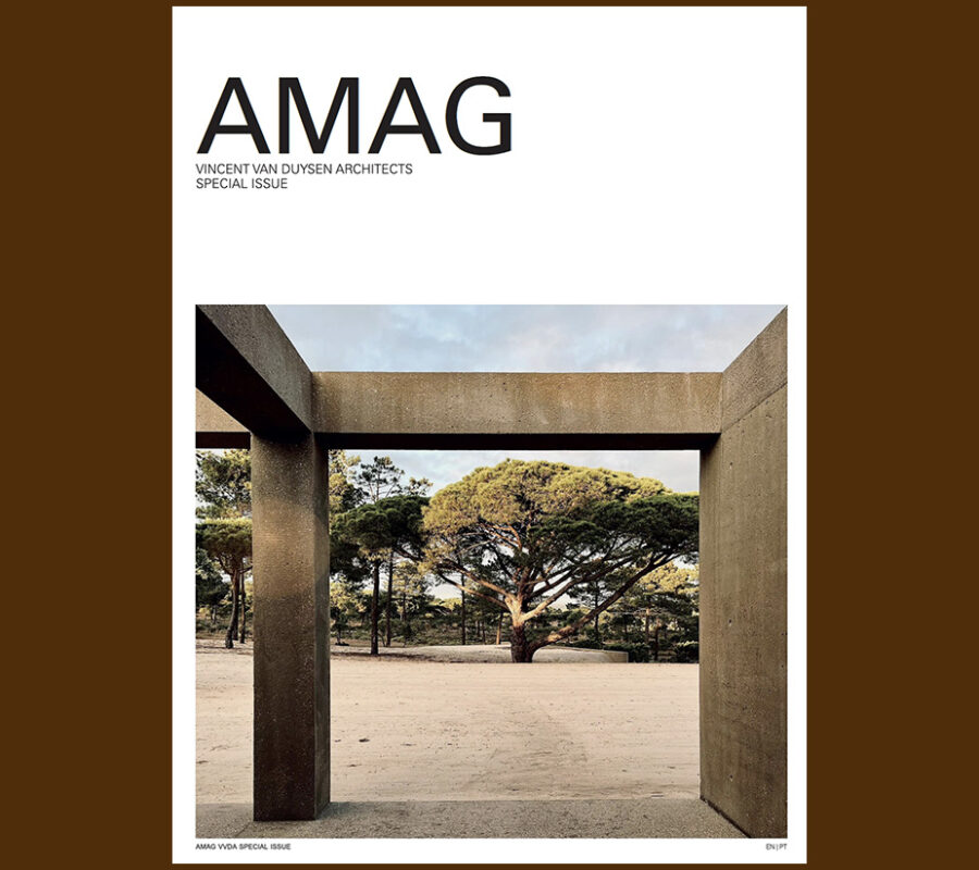 VVD Vincent Van Duysen (Amag Special issue)
