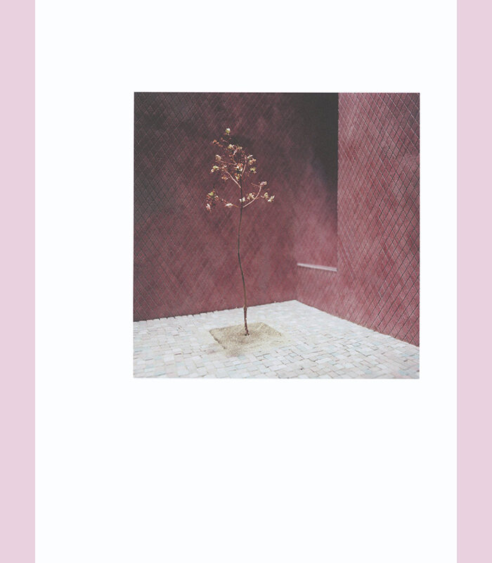 Francesca Torzo: Z33 - Afbeelding 3