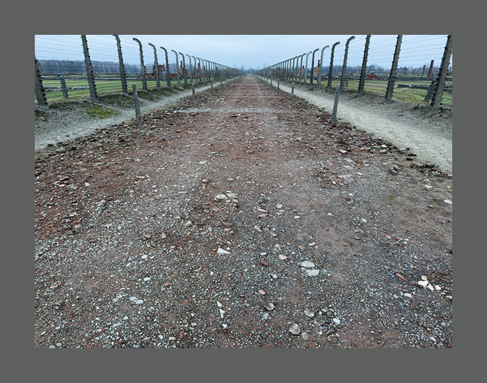 Juergen Teller: Auschwitz Birkenau - Afbeelding 5
