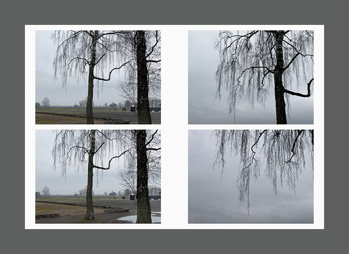 Juergen Teller: Auschwitz Birkenau - Afbeelding 3