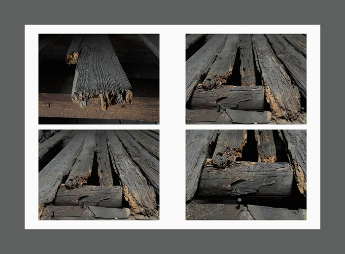 Juergen Teller: Auschwitz Birkenau - Afbeelding 6