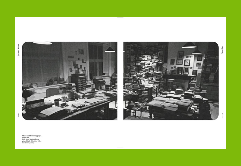 Fiona Tan: Monomania (Rijksmuseum) - Image 2