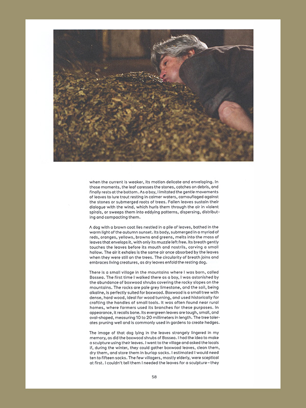 Giuseppe Penone: Thoughts in the Roots (Serpentine Gallery) - Afbeelding 4