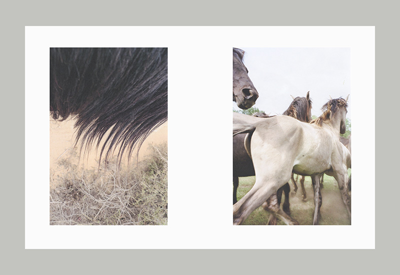 Jitka Hanzlová: Identities – COPYRIGHT Bookshop