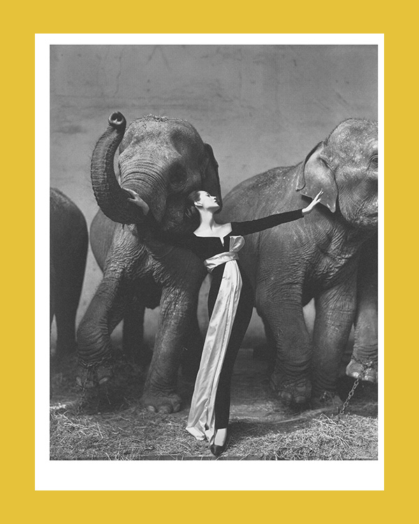 Yves Saint Laurent and Photography (Musée Yves Saint Laurent