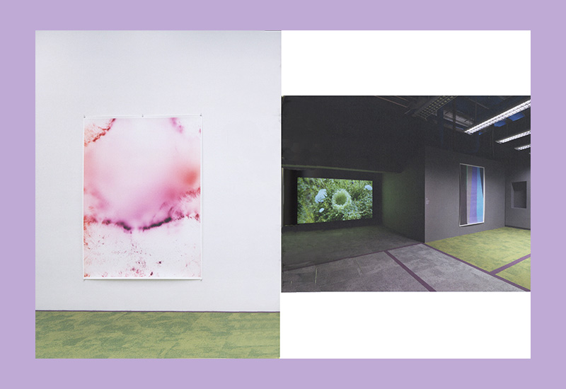 Wolfgang Tillmans: Nothing Could Have Prepared Us – Everything Could Have Prepared Us (Centre Pompidou) - Afbeelding 6