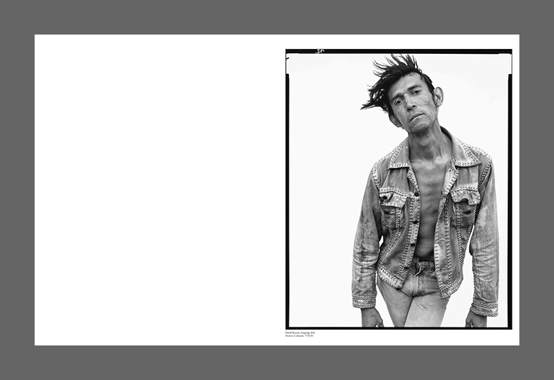 【未開封・美品】RICHARD AVEDON PORTRAITS Audrey Hepburn, New York, December 18, 1953 #audreyhepburn