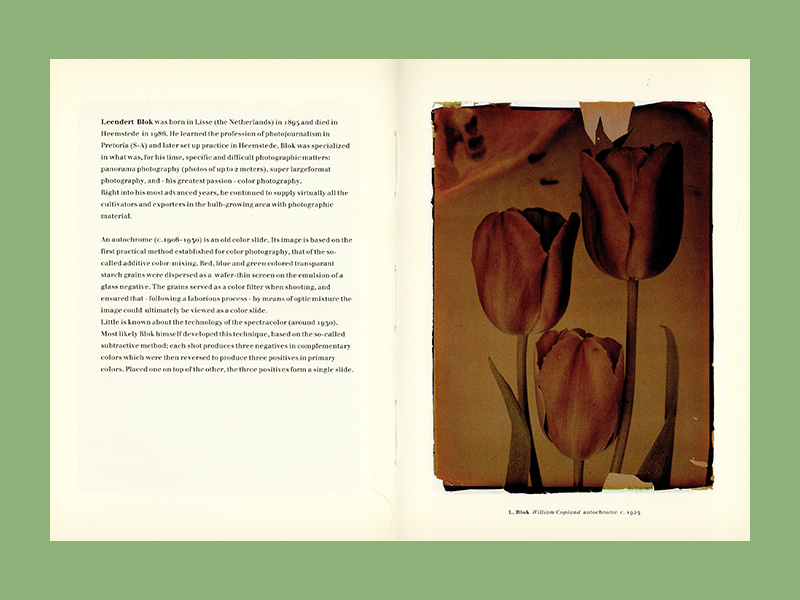 Leendert Blok & Jasper Wiedeman: Tulipa (1994) - Image 3