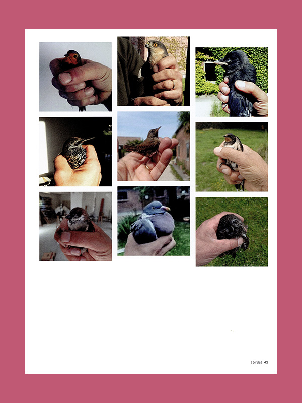 Stief DeSmet: Hunting & Collecting. Selected Sculptures - Image 5
