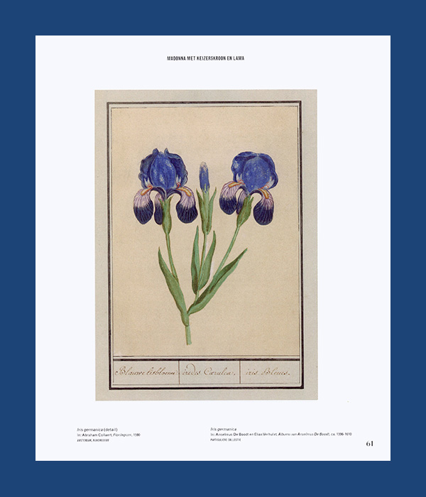 Forever Flowers – Mastery and Meaning of Flower Paintings in the