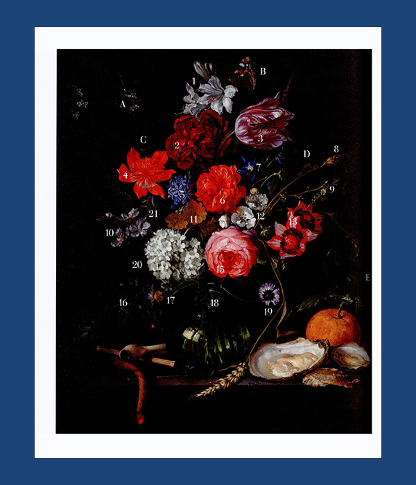 Zeven anjers, zeven rozen: De kunst van bloemschilderen in de Lage Landen (1600-1700) - Afbeelding 7