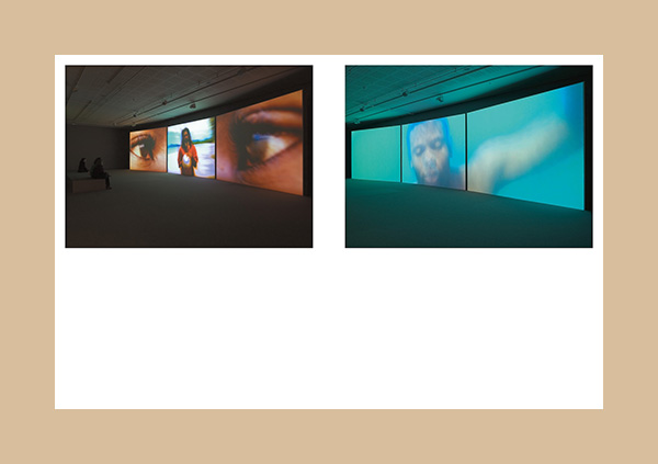 Isaac Julien: I Dream a World (Fine Arts Museums, San Francisco) - Afbeelding 5