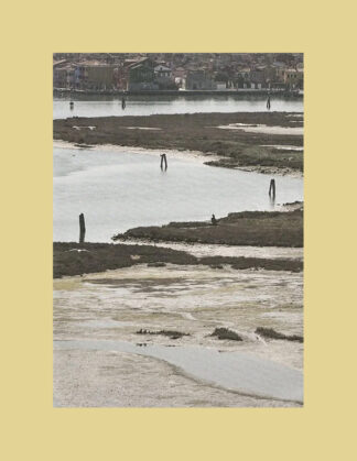 Urban Shores: Towards Landscape-Based Coastal Adaptation