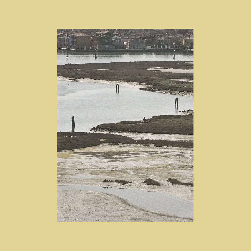 Urban Shores: Towards Landscape-Based Coastal Adaptation