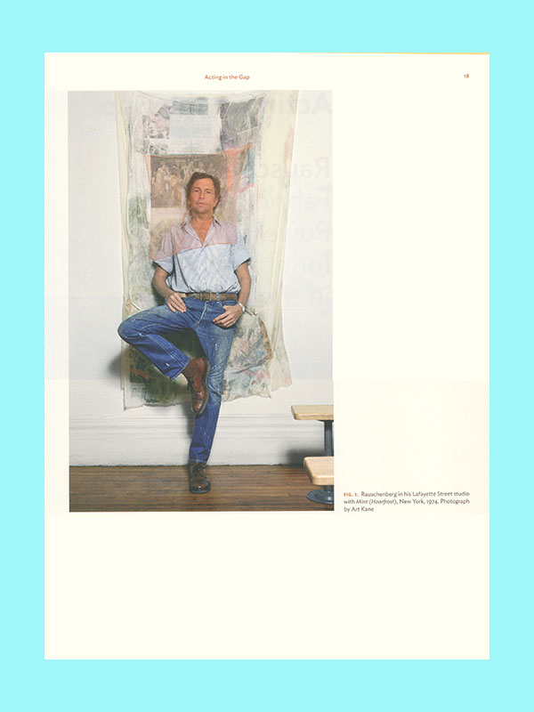 Robert Rauschenberg: Fabric Works of the 1970s - Afbeelding 2