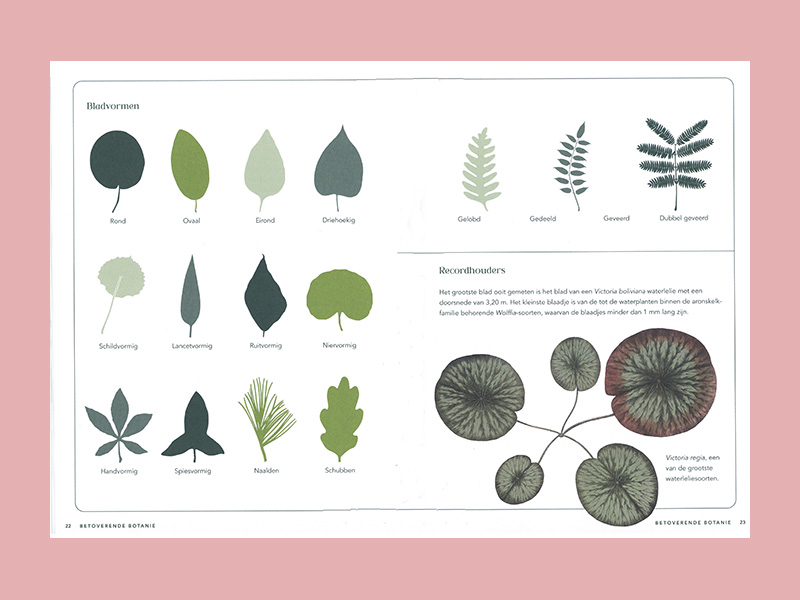 Alles wat je altijd wilde weten over plant en tuin - Afbeelding 2