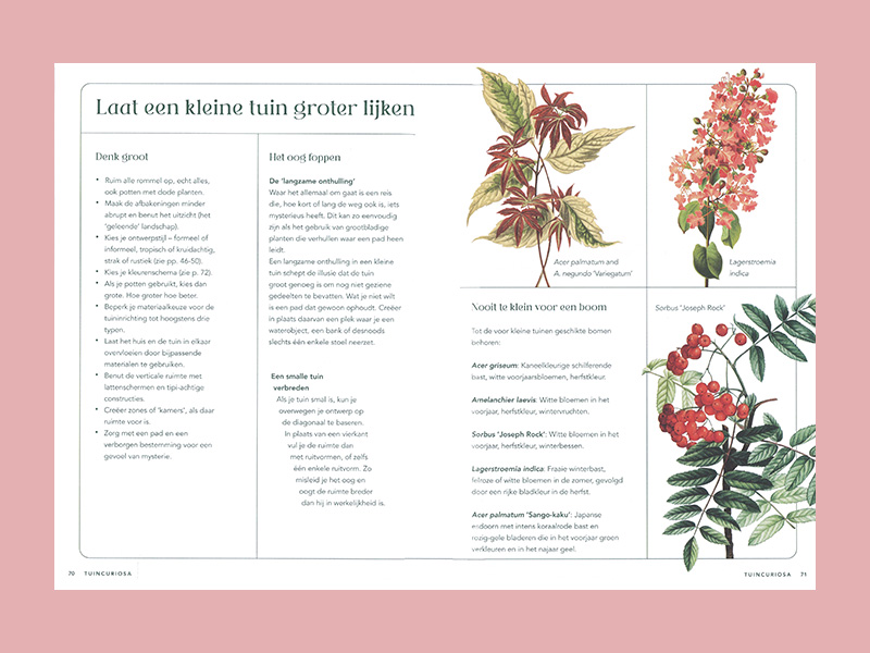 Alles wat je altijd wilde weten over plant en tuin - Afbeelding 3