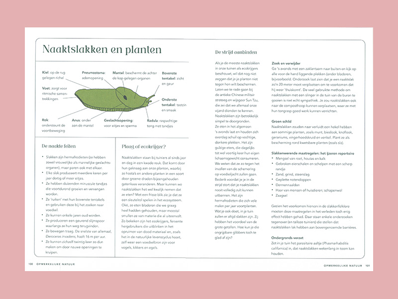 Alles wat je altijd wilde weten over plant en tuin - Afbeelding 4