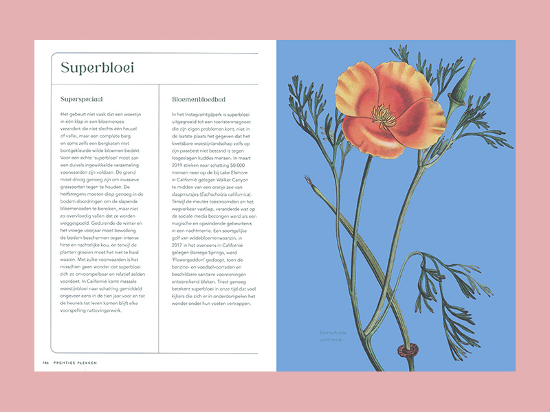 Alles wat je altijd wilde weten over plant en tuin - Afbeelding 5