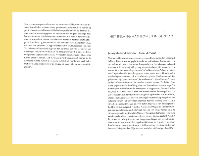 De stad is (g)een bos: bomen voor een leefbare omgeving - Afbeelding 2