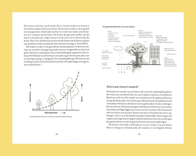De stad is (g)een bos: bomen voor een leefbare omgeving - Afbeelding 3