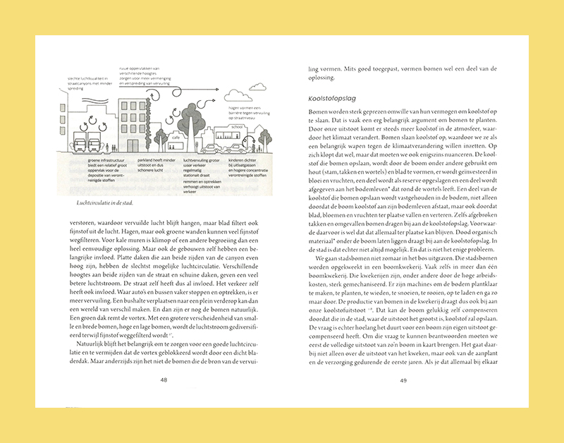 De stad is (g)een bos: bomen voor een leefbare omgeving - Afbeelding 4