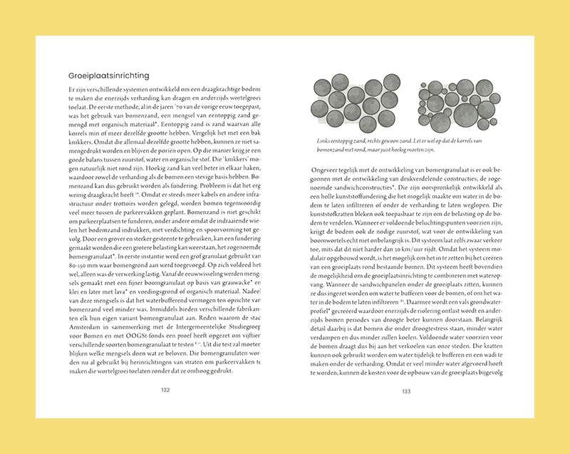De stad is (g)een bos: bomen voor een leefbare omgeving - Afbeelding 5