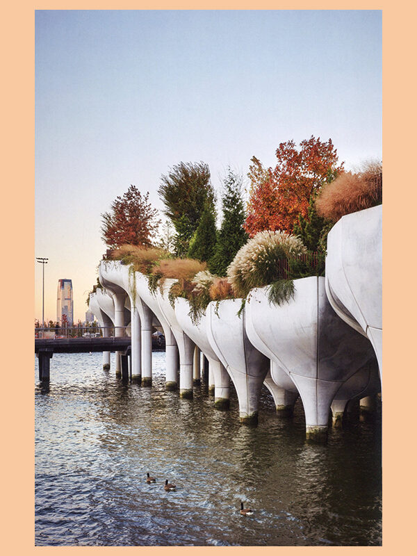 The New Beautiful: Inspiring Gardens for a Resilient Future