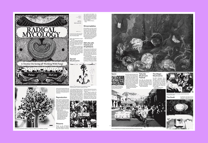 Leopold Bianchini, Lukas Feireiss: Shelter Cookbook (Second Edition) - Afbeelding 8