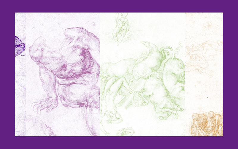 De mannen van Michelangelo: Het mannelijk lichaam in het werk en leven van Michelangelo (Teylers Museum) - Afbeelding 2