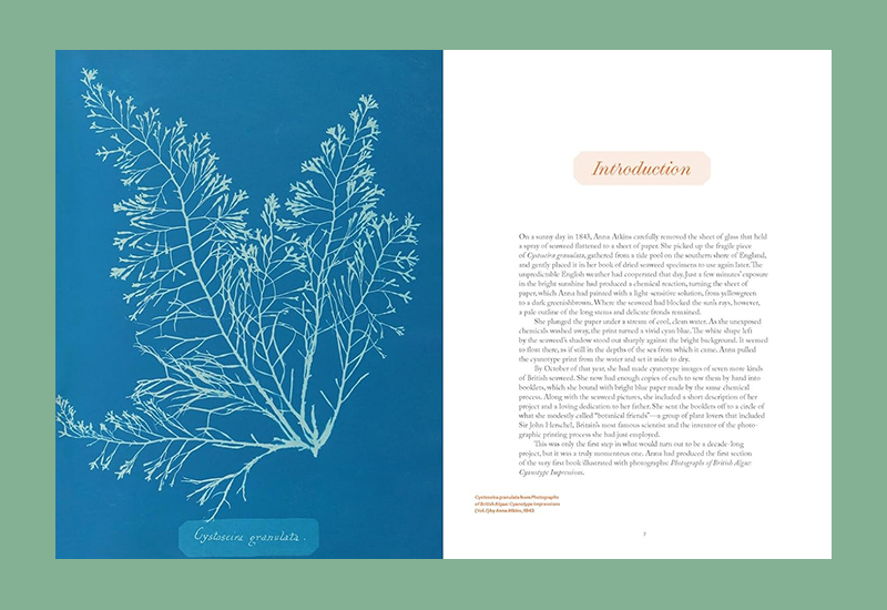 Anna Atkins: Photographer, Naturalist, Innovator - Afbeelding 3