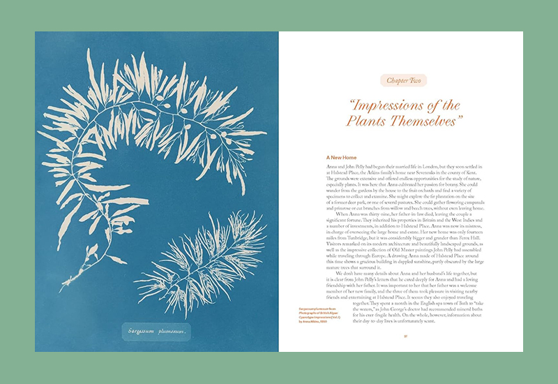 Anna Atkins: Photographer, Naturalist, Innovator - Afbeelding 4