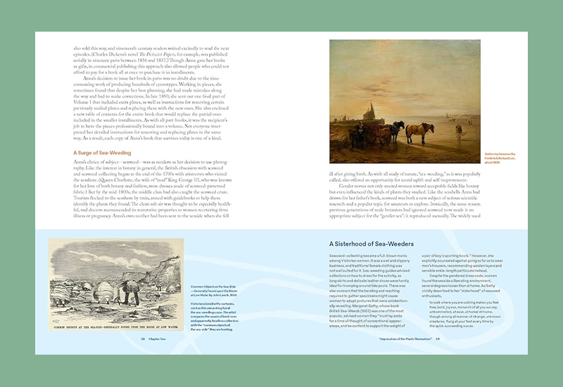 Anna Atkins: Photographer, Naturalist, Innovator - Afbeelding 5