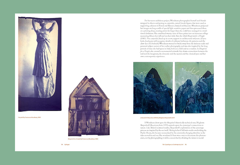 Anna Atkins: Photographer, Naturalist, Innovator - Afbeelding 6